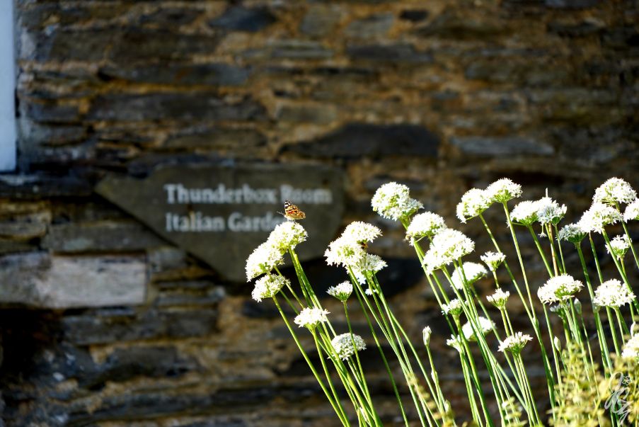 The Lost Gardens of Heligan