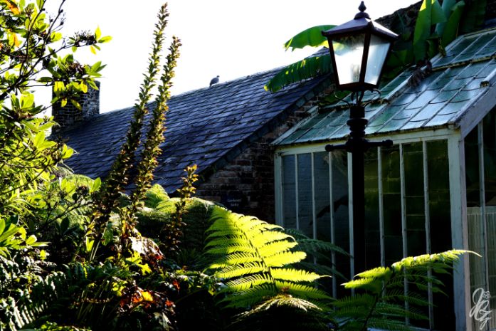 The Lost Gardens of Heligan