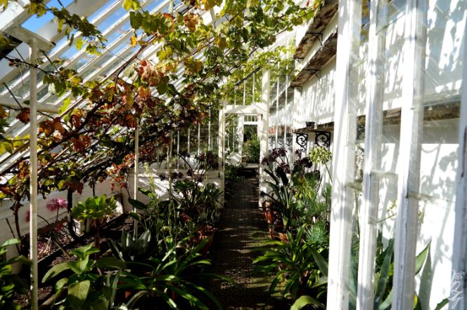The Lost Gardens of Heligan