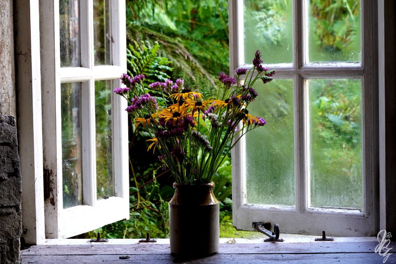 The Lost Gardens of Heligan