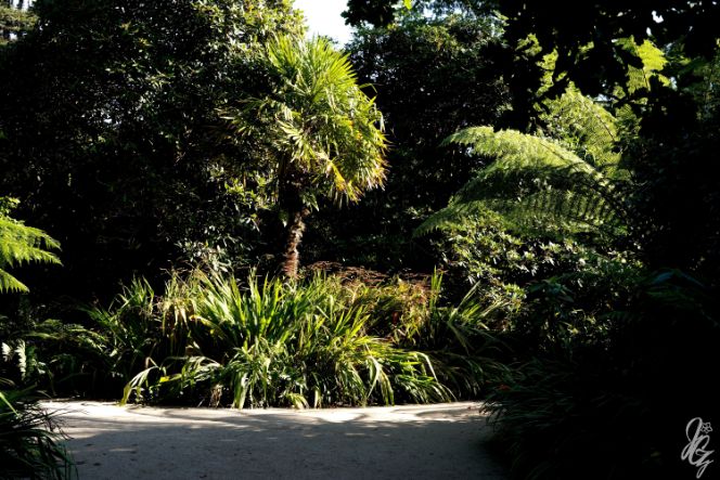 The Lost Gardens of Heligan