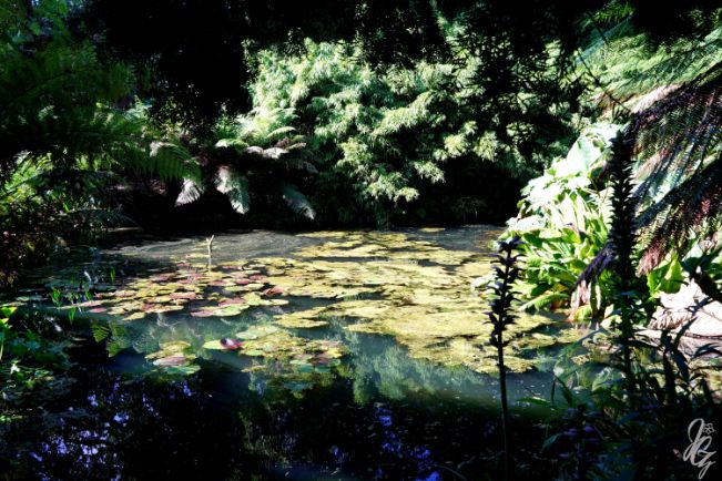 The Lost Gardens of Heligan