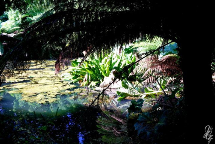 The Lost Gardens of Heligan