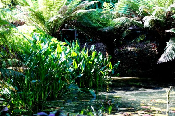 The Lost Gardens of Heligan