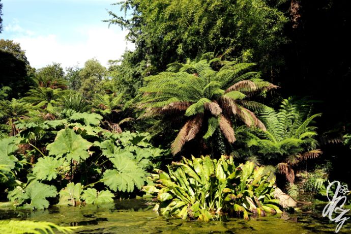 The Lost Gardens of Heligan