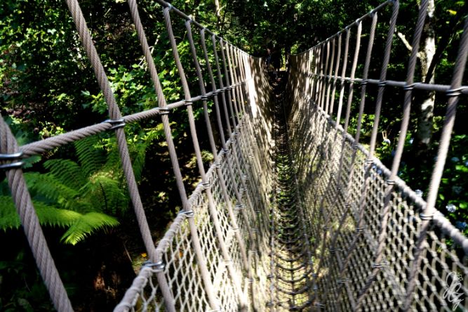 The Lost Gardens of Heligan