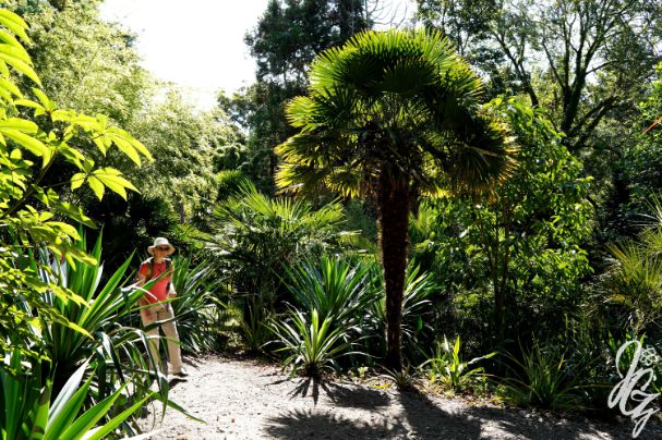 The Lost Gardens of Heligan