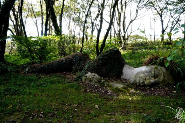 The Lost Gardens of Heligan