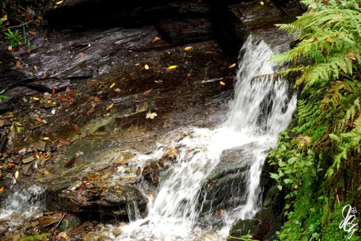 St. Nectan's Glen