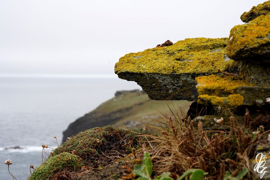 Tintagel Castle