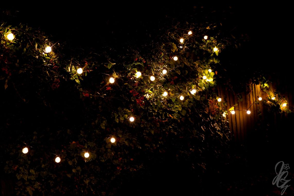 Westend Lights in Lincoln