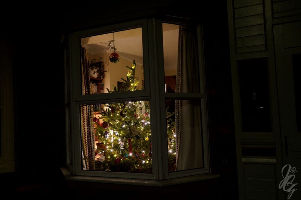 Window with Christmas tree at Gill's House in Lincoln