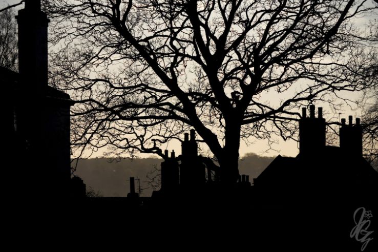 Lincoln on a winter morning