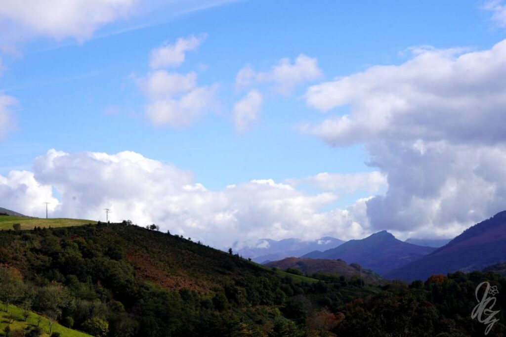 Pyrenees