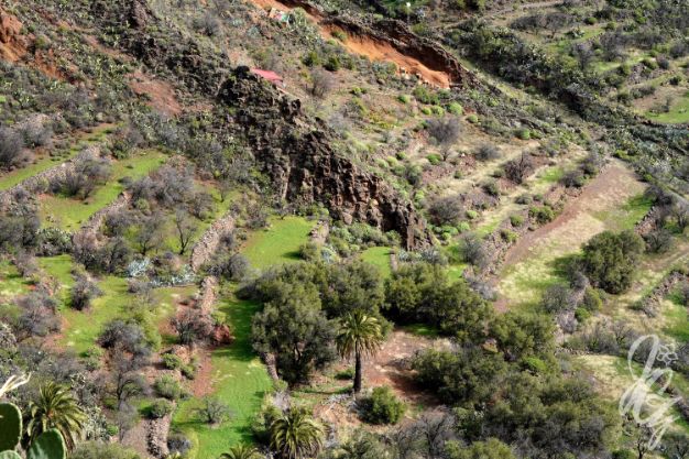 Guayadeque Valley in Gran Canaria