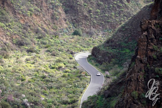 Guayadeque valley in Gran Canaria