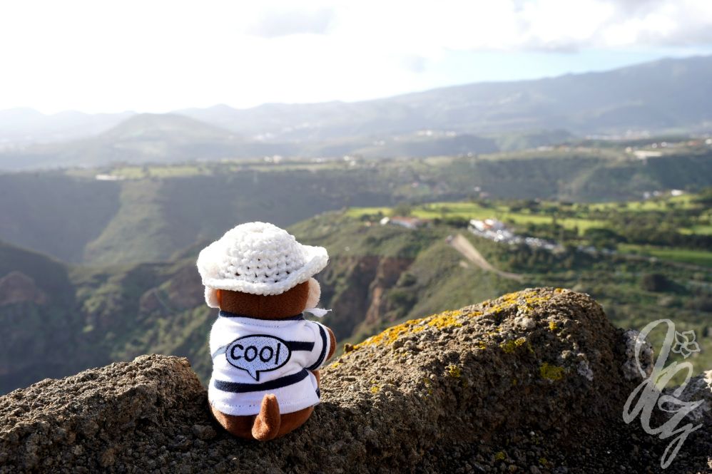 Caldera de Bandama in Gran Canaria