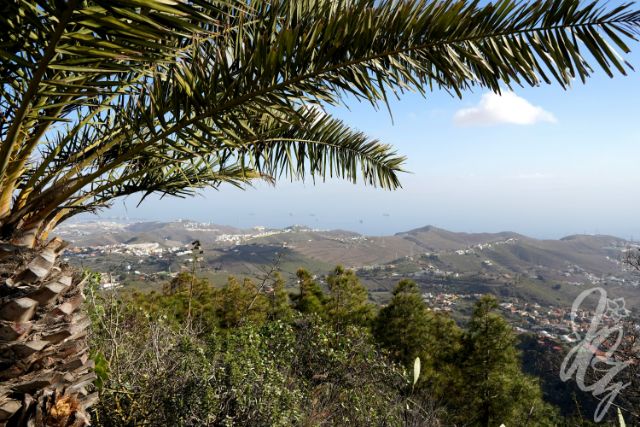 Caldera de Bandama in Gran Canaria