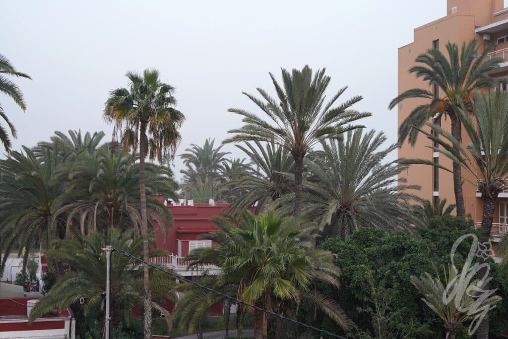 Las Palmas de Gran Canaria during the calima