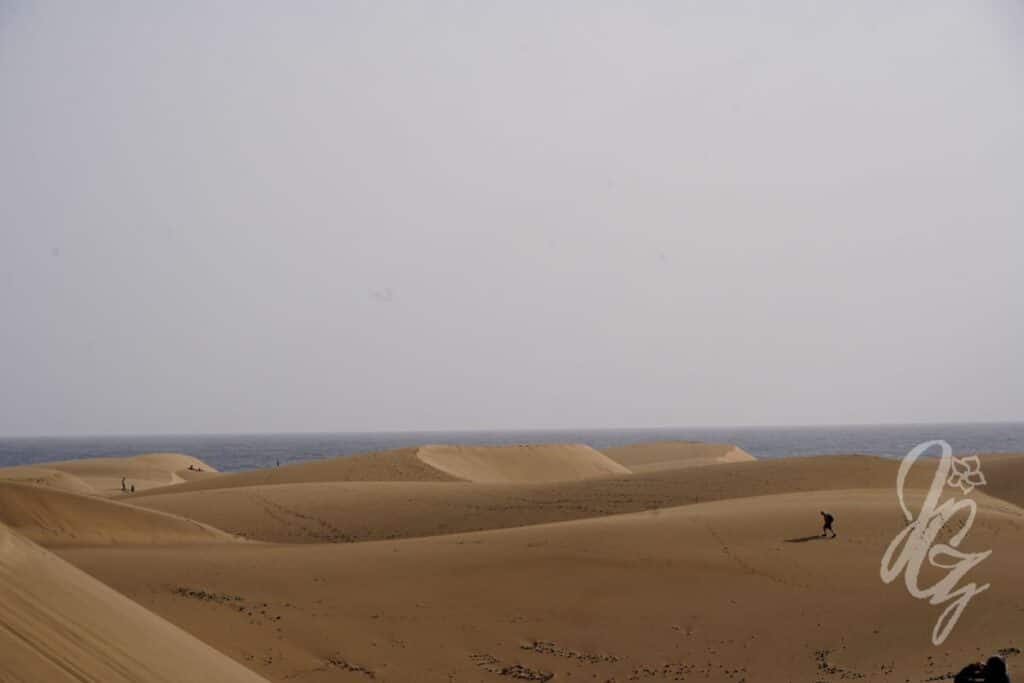 Dunas de Maspalomas in Gran Canaria