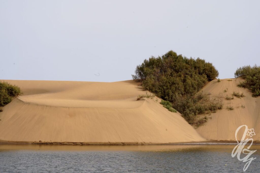 Dunas de Maspalomas in Gran Canaria