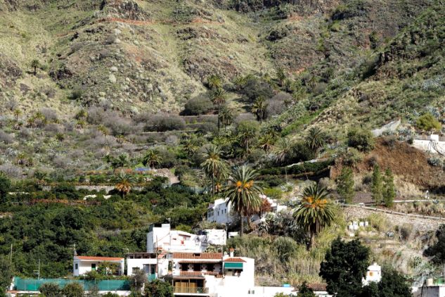 Finca Laja near Agaete in Gran Canaria