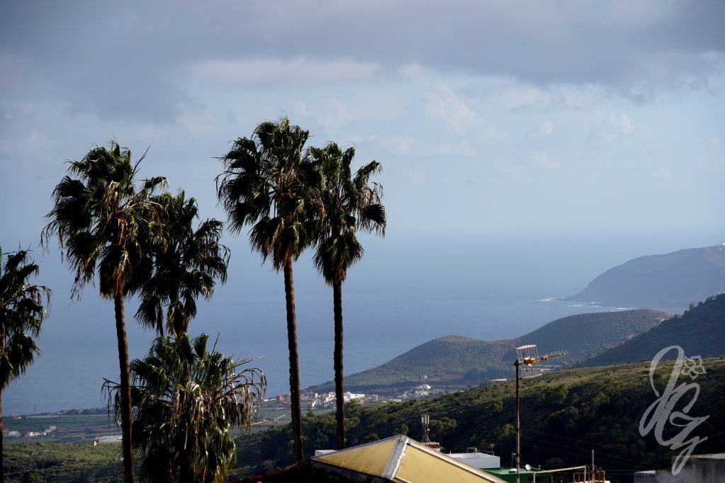 Firgas in Gran Canaria