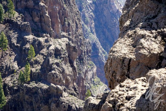 Pico de las Nieves in Gran Canaria