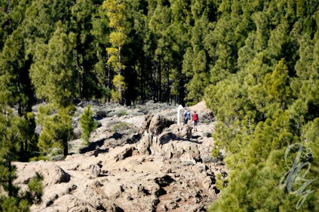 Pico de las Nieves in Gran Canaria