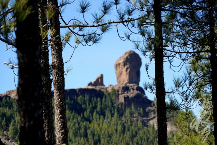 Pico de las Nieves in Gran Canaria
