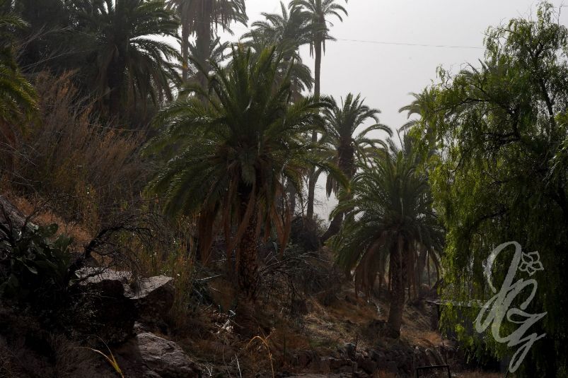 Sorrueda Valley in Gran Canaria