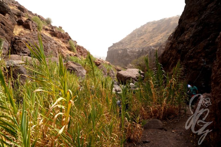 Sorrueda Valley in Gran Canaria