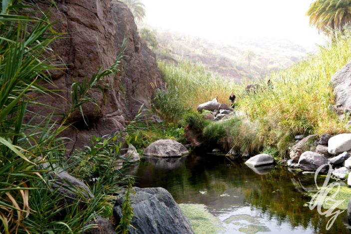 Sorrueda Valley in Gran Canaria
