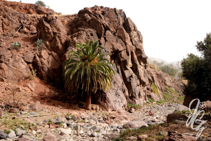 Sorrueda Valley in Gran Canaria