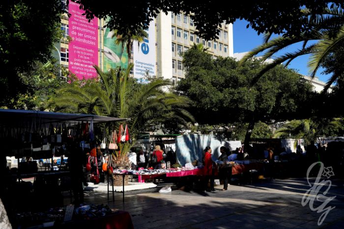 Sunday Market Las Palmas de Gran Canaria