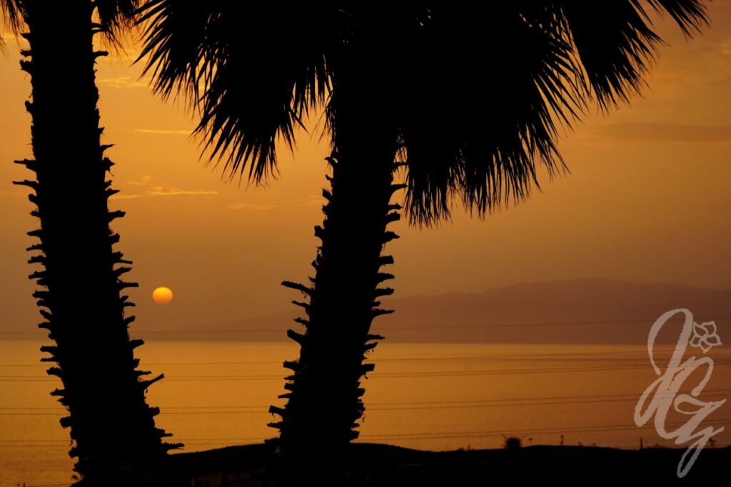 Sunset at Blackstone Surf Camp in Tenerife
