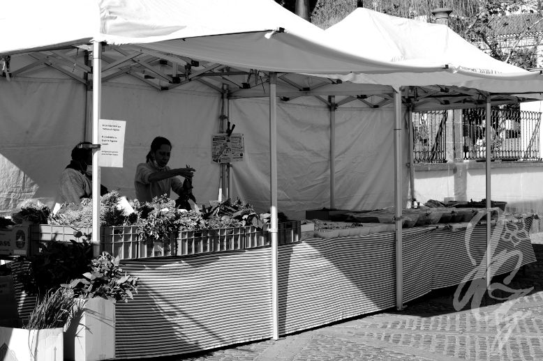 Market in Teror in Gran Canaria