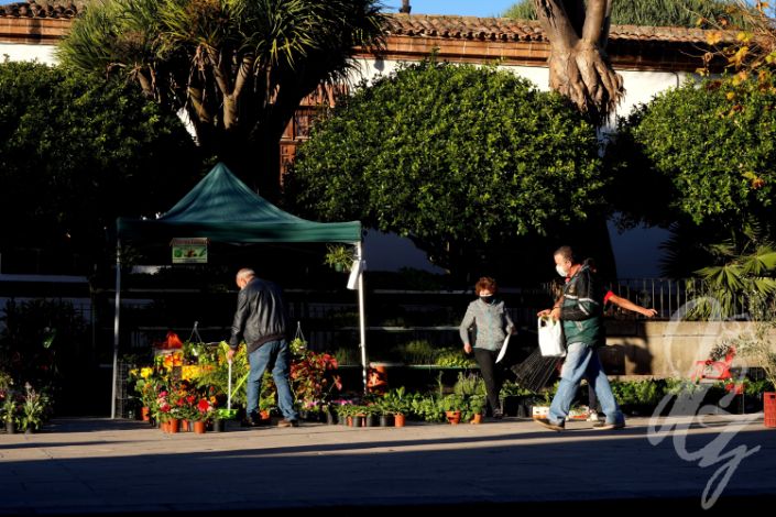 Market in Teror in Gran Canaria