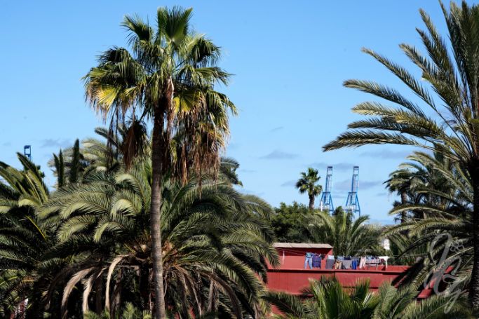 Views from The Roof in Las Palmas once the Calima was over