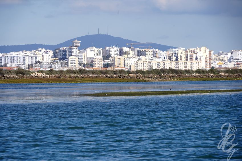 Faro