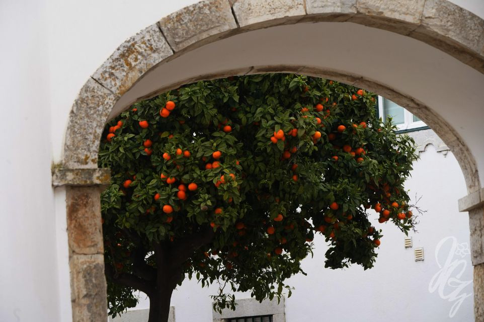 Faro