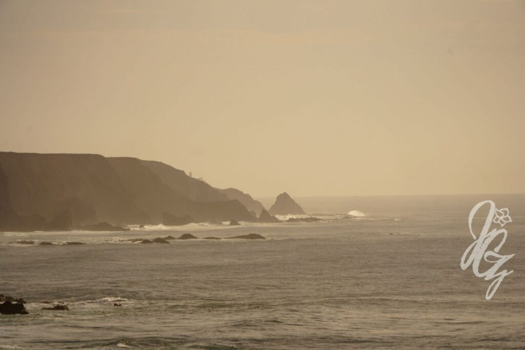 Vicentine Coast Natural Park