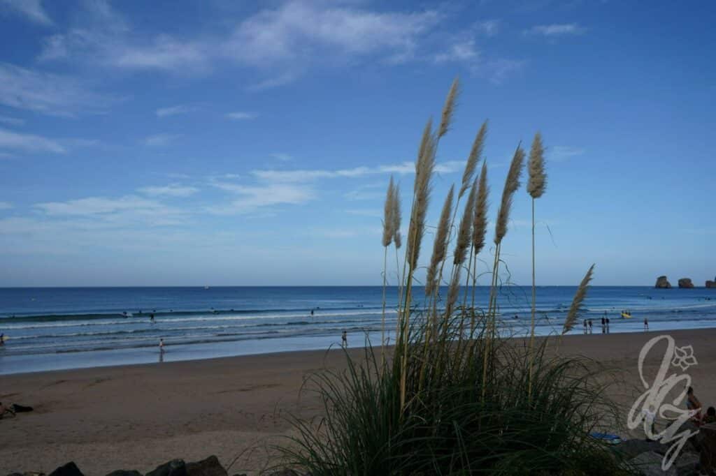 Hendaye beach