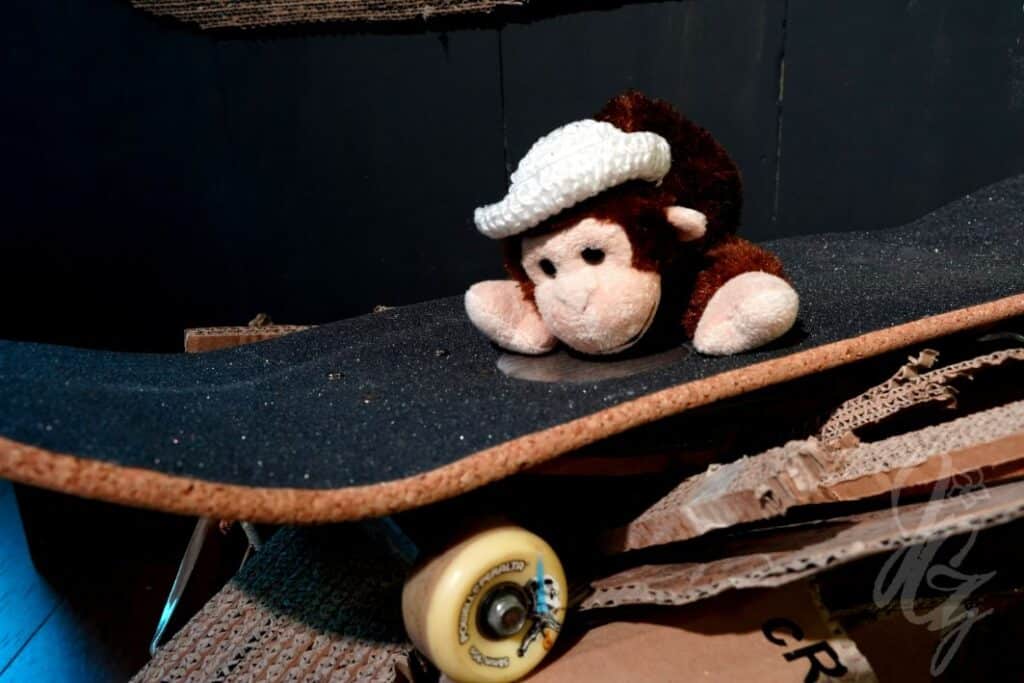 Trashboard at the surf summit in Hossegor 2022