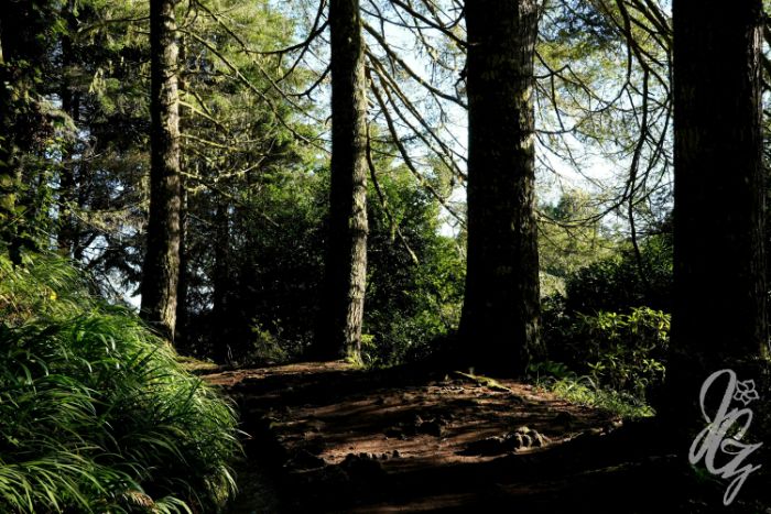 Caldeirão Verde in Madeira