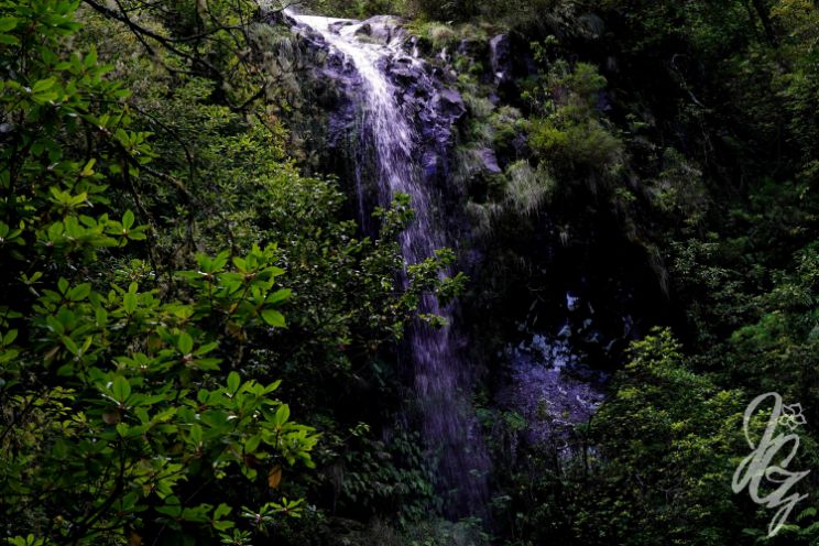 Caldeirão Verde in Madeira
