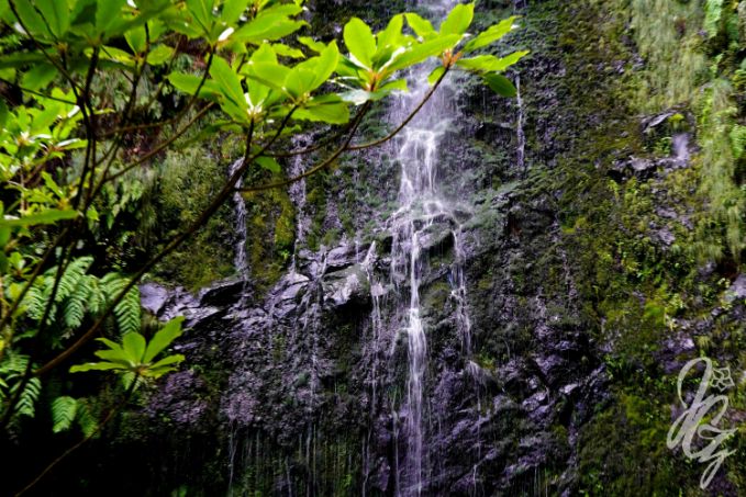 Caldeirão Verde in Madeira