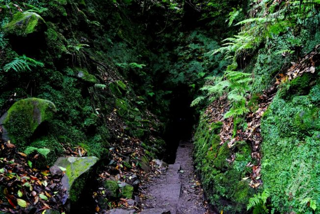 Caldeirão Verde in Madeira