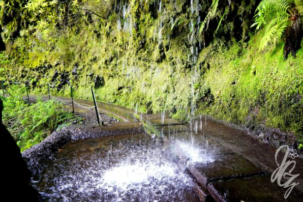 Caldeirão Verde in Madeira