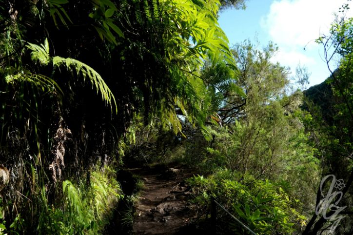 Caldeirão Verde in Madeira